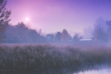 Beautiful rural morning landscape.の写真素材