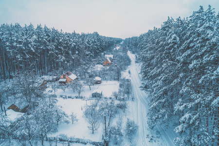 View from above of village lokated in pine forest in snowy winterの写真素材