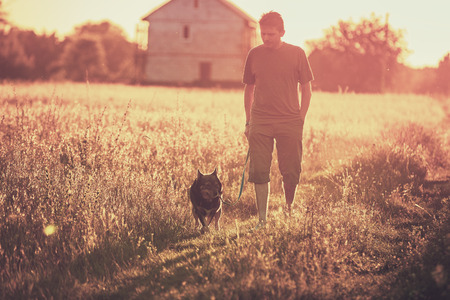 A man walks with a dog in a field at sunset. Man holding the dog on a leashの写真素材