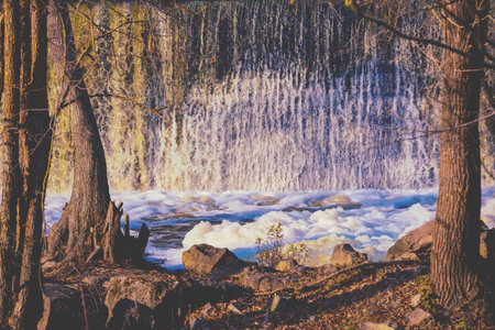 Water falls from the dam on the river in the forestの写真素材