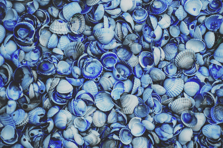 Natural abstract vintage blue colored shells backgroundの写真素材