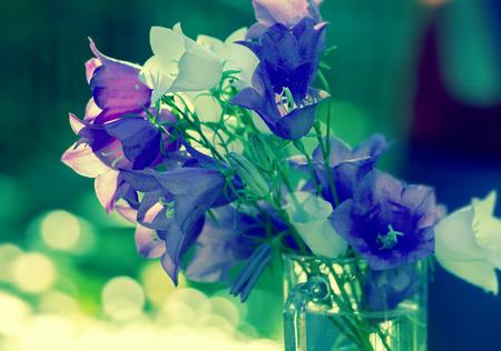 Blue green vintage harebell flowers. Bouguet of summer flowers outdoorの写真素材