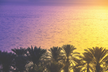 Beautiful Sea of Galilee in the early morning. Sea landscape in Northern Israel. Palm trees near the...