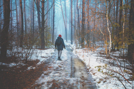 A man walks in a snowy pine forest in winter during a thaw
