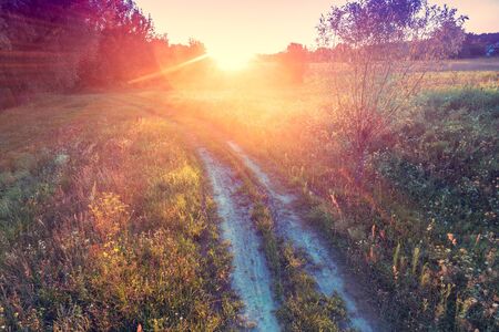 Rural landscape in the evening at sunset. Bright sunset over the countryside. Country dirt road in the evening. Autumn natureの写真素材