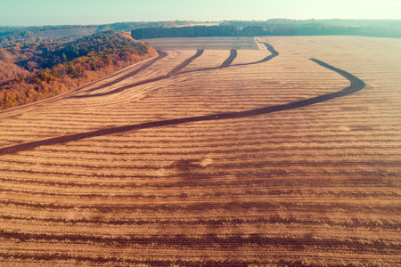 Rural autumn landscape. Field after harvest