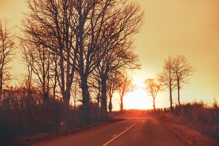 Highway in the early autumn morning. Silhouette of trees against a golden skyの写真素材