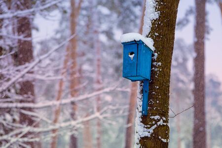 Birdhouses on the trees in snowy winterの写真素材