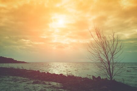 Dramatic sunset over the sea. Nature landscape with a dramatic evening skyの写真素材