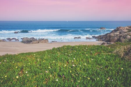 Rocky seashore on a sunny day. Beautiful flowering slope of mountains. Paredes da Vitoria Beach, Portugal, Europeの写真素材