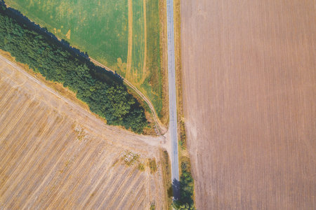 Summer rural landscape, aerial view. View of plowed and green fields, country road and row of trees