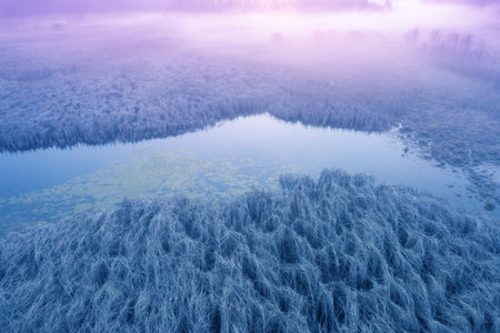 Magical sunrise over the reed overgrown lake. Misty morning, rural landscape, wilderness, mystical...