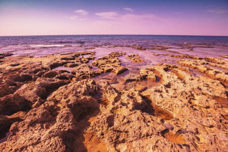 Rocky coast in summer. Beautiful seascape. Sunset on the beach