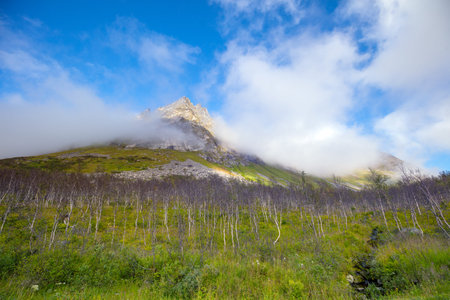Beautiful mountain peak in the clouds. Polar birch trees on the side of a mountain. Nature of...