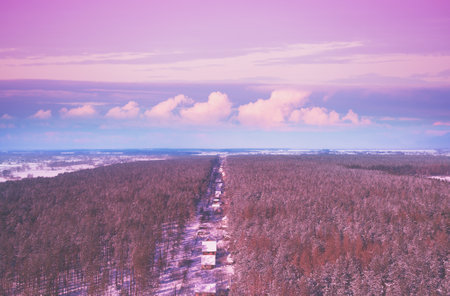 View from above of village located in pine forest in snowy winter in eveningの写真素材