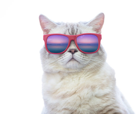 Portrait of funny cat in sunglasses with sea reflection. Cat enjoying summer. Isolated on white...