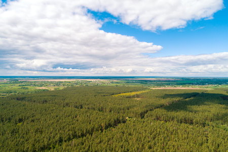Rural landscape, aerial view, skyview of countryside and pine forest with partially cloudy sky