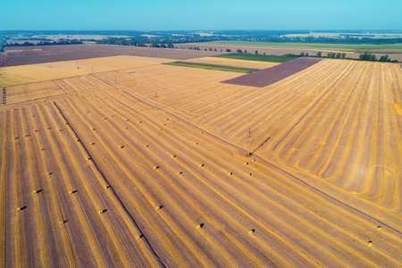 Aerial top view of the colorful geometric wheat fields with straw bales. Abstract rural nature backgroundの写真素材