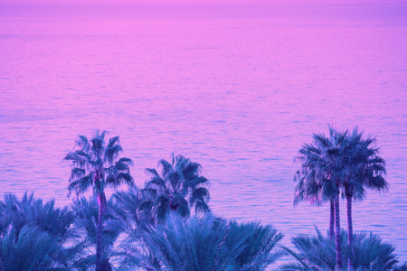 Silhouette of palms against the sea at sunrise. Tropical landscape