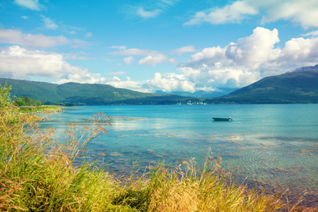 View of the fjord on a summer sunny day. Seashore with beautiful cloudy sky. Beautiful nature of...