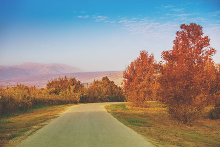 Road in Hula valley. View from the car. Northern Israel