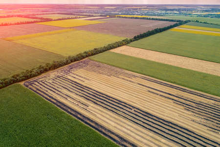 Rural landscape, aerial view. View of colorful arable fields in summerの写真素材