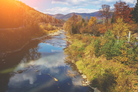 Mountain river on an autumn sunny day. Nature landscape. Carpathian Mountains, Ukraine