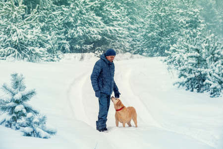Happy man with dog walks in snowy forest in winterの写真素材