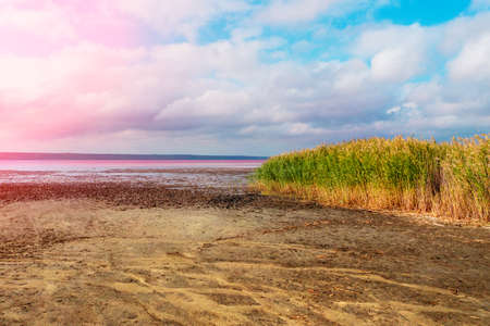 Pink salt lake at sunset lightの写真素材