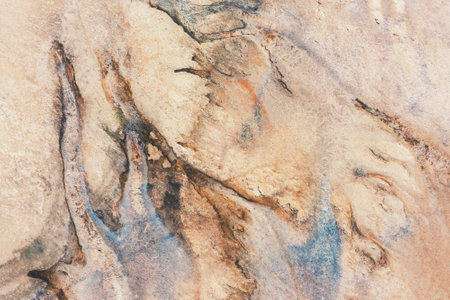 Abstract nature background. Top view of the dry estuary. Land textureの写真素材