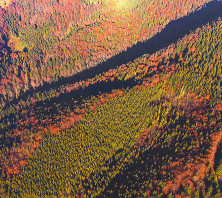 Autumn in the mountains. View of the mountains in autumn. Beautiful nature landscape. View from...