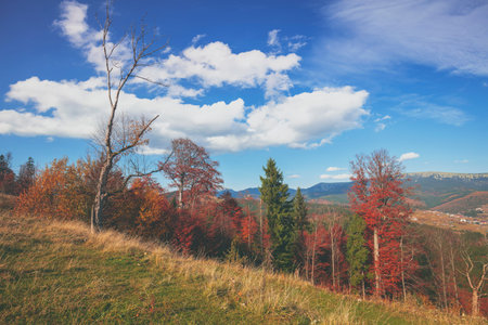 Autumn in the mountains. View of the mountains in autumn. Beautiful nature landscape. Carpathian...