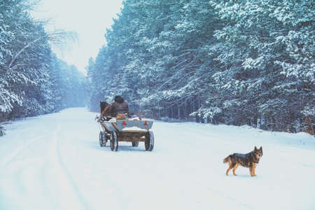A man rides in a horse-drawn cart on a snowy road in winterの写真素材