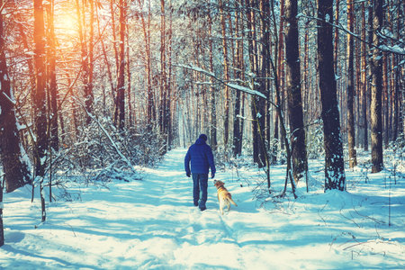 Man and dog are best friends. A man with a dog walks in a snowy forest on a sunny winter dayの写真素材