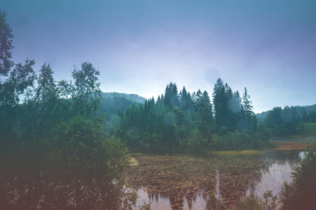 Mountain lake in the misty autumn morning. Beautiful nature of Norway. Reflection on the lake