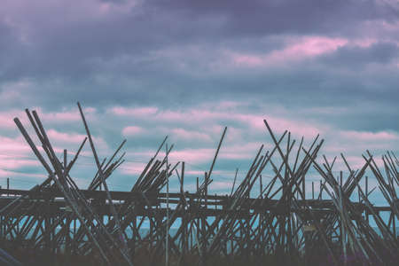 Wooden rack for air-drying fish against cloudy sunset sky. Fishing village, Lofoten Islands, Norwayの写真素材