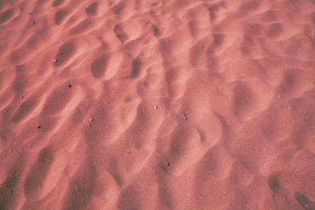 Abstract sandy background. The texture of the beach sandの写真素材