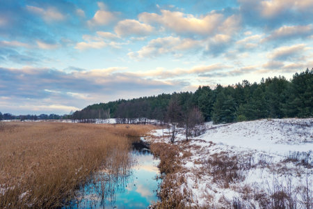 View of a winding reeded stream in the evening. Beautiful natural landscape with a cloudy evening skyの写真素材