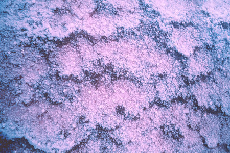 Abstract texture of the Dead sea salty shore. Salt crystals nature background in blue-purple colorの写真素材