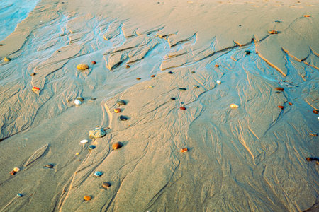 The texture of the sandy beach in the evening. Atlantic Ocean, Portugal