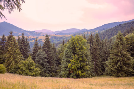 View of the slopes of mountains during sunset in summerの写真素材