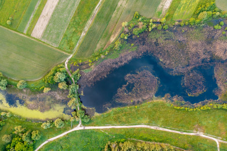 Top view of arable fields and winding stream. The countryside in summer. Rural landscape. Nature backgroundの写真素材