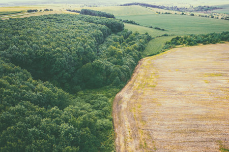 View from above of countryside. View of arable field and green forest in summerの写真素材