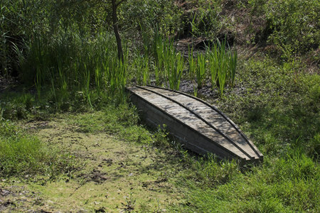 Old boat near riverの写真素材