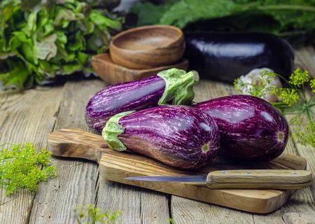 Eggplant varieties in black bowl over dark slate backgroundの写真素材