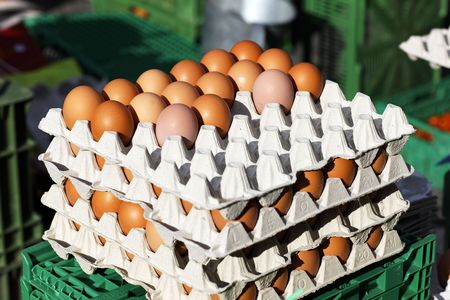 eggsの写真素材