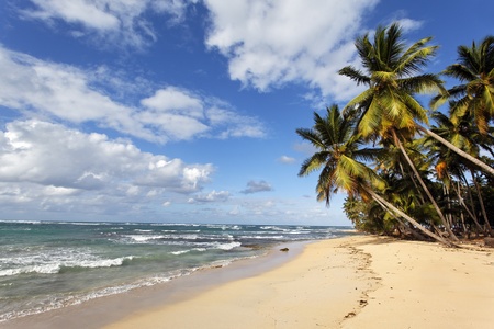 beach and cloudsの写真素材