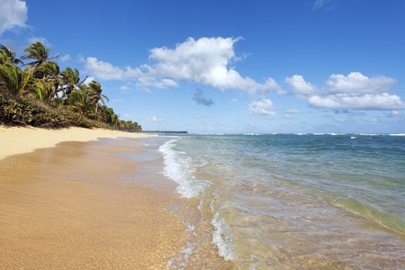 hot beachの写真素材