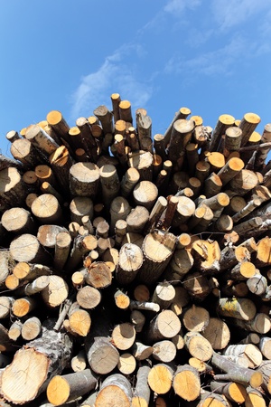 woodpileの写真素材