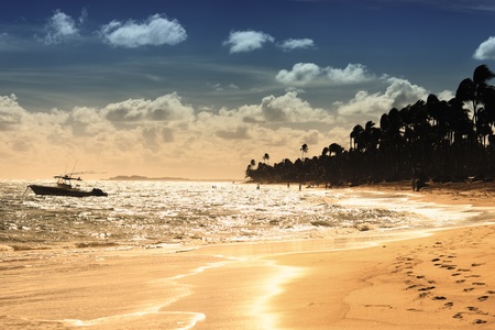 sunset on caribbean beach in summer with boatの写真素材